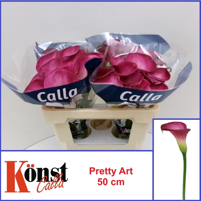 <h4>ZANT PRETTY ART</h4>
