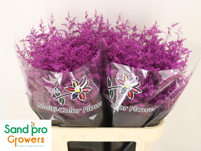 <h4>LIM OV KLB H%</h4>