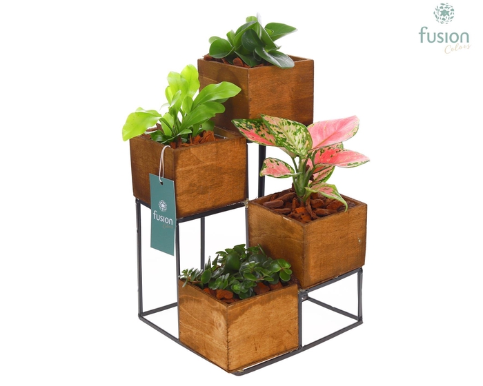 <h4>Tower hout met metaal met Trendy Groene Planten</h4>