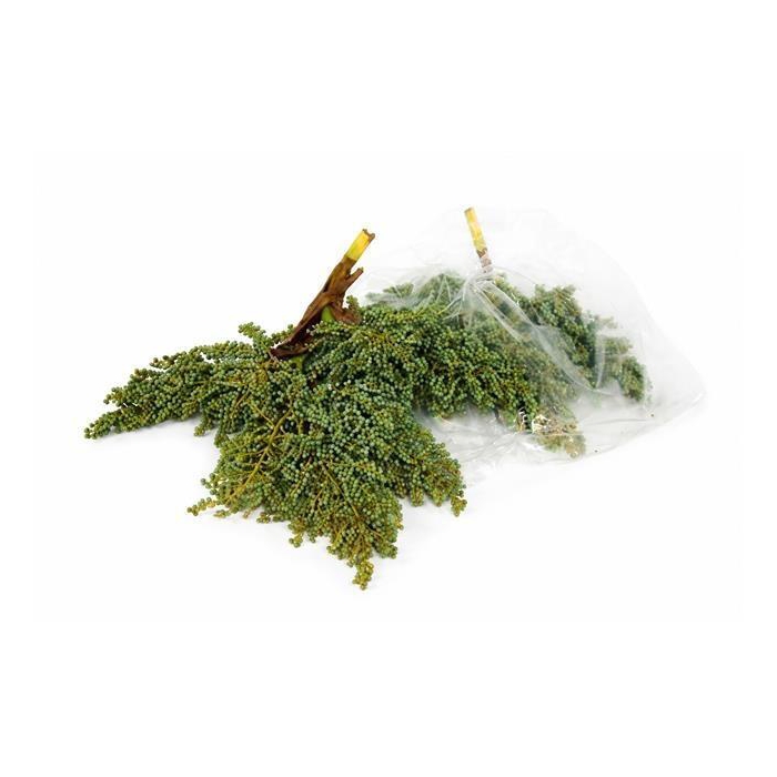 <h4>DADELS SEA 1.0 KG</h4>