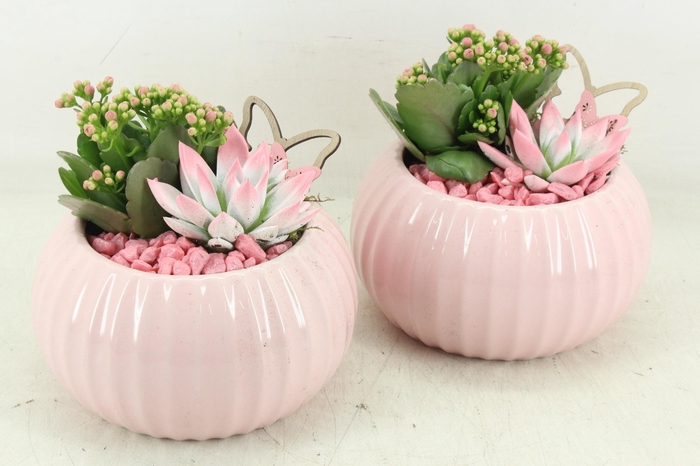 <h4>arr2 PL - Ker. bolpot tessa Pink 338/4</h4>