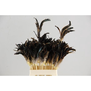 Stick Feather 12-14cm Natural