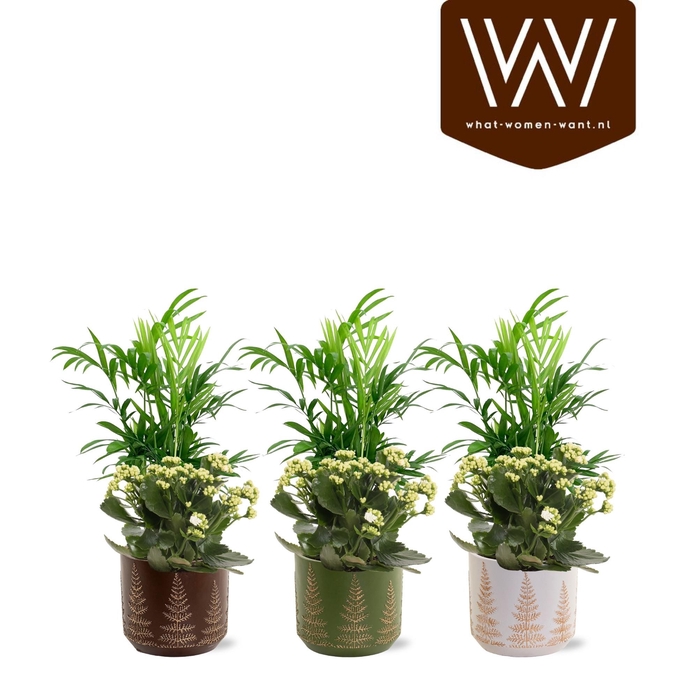 <h4>Collectie"Naturel Bubble''Arrangementen keramiek Mick</h4>