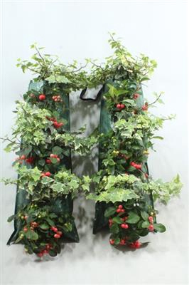 <h4>WANDHANGER GAULTHERIA / HEDERA</h4>