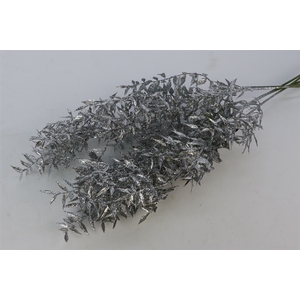 Bunch Ruscus Preserved 5 Pcs Glitter L65