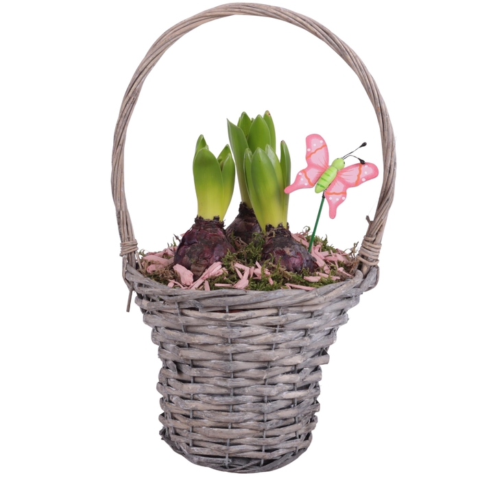 <h4>Bulbs Arr. Hyacint Willow Handle Basket Grey Ø18cm 3PP</h4>
