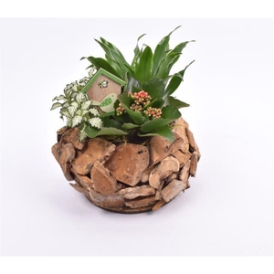 Natuur boomschors krans 23cm
