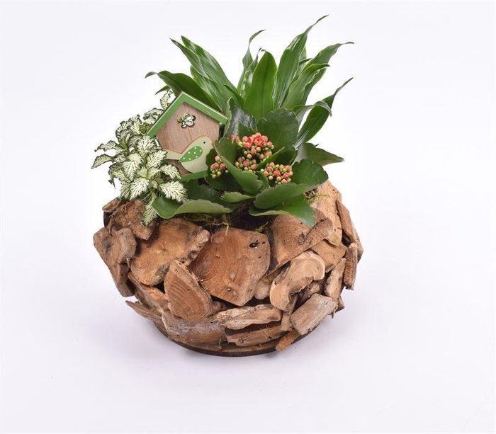 <h4>Natuur boomschors krans 23cm</h4>