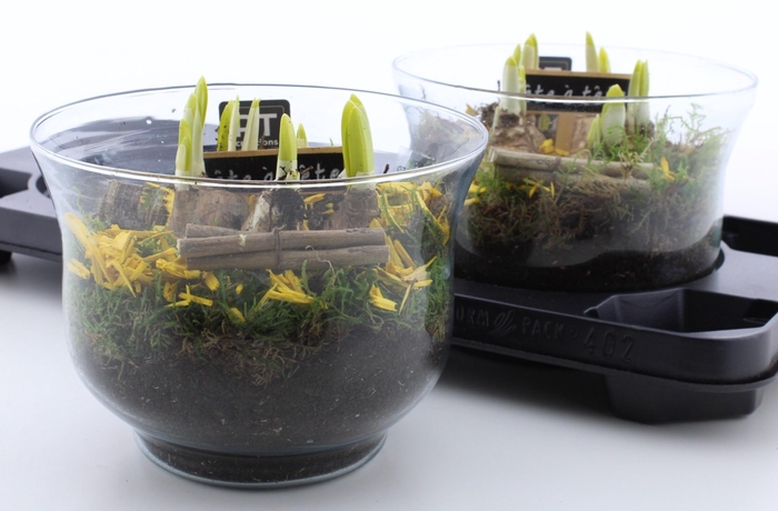 <h4>ARR N TETE A TETE</h4>