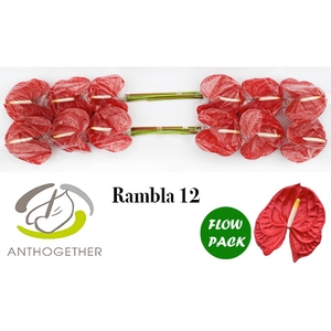 ANTH A RAMBLA 12 Flow Pack
