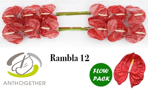 ANTH A RAMBLA 12 Flow Pack