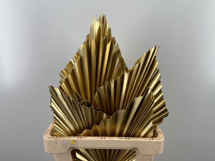 <h4>DROOGBL BEWERKT H%</h4>