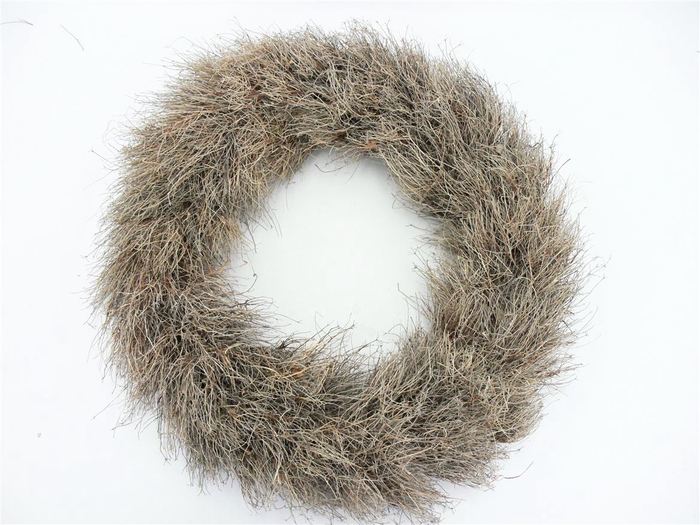 Krans 22 Iron Grass 60cm