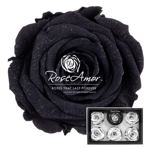 Xl Diamond Dust Bla01