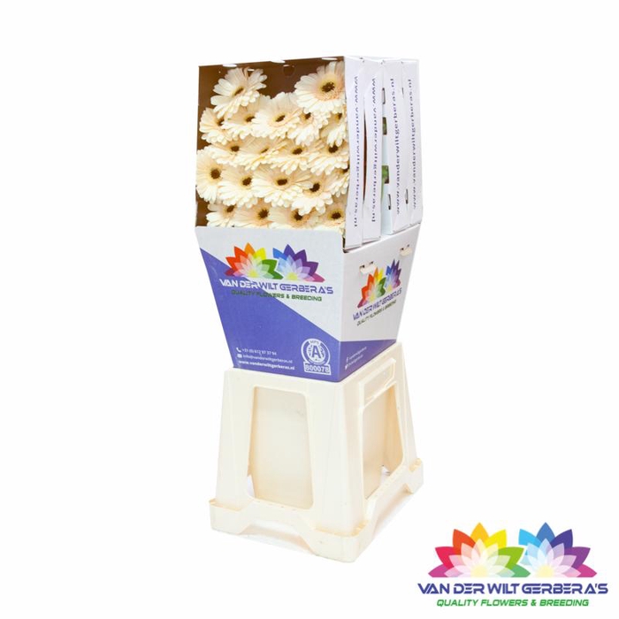 <h4>Germini Cafe Diamond</h4>