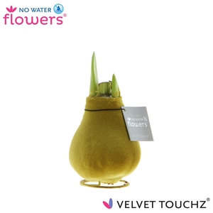 No Water Flowers Velvet Touchz® Gold