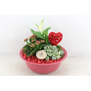 arr2 PL - Zink schaal rood los - rood