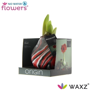 No Water Flowers Waxz® Artooz Earth Red Boxz(Decorum)