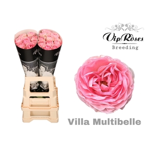 R GR VILLA MULTIBEL