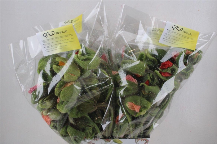 <h4>Papaver Mixed Sup Sup P Stem</h4>