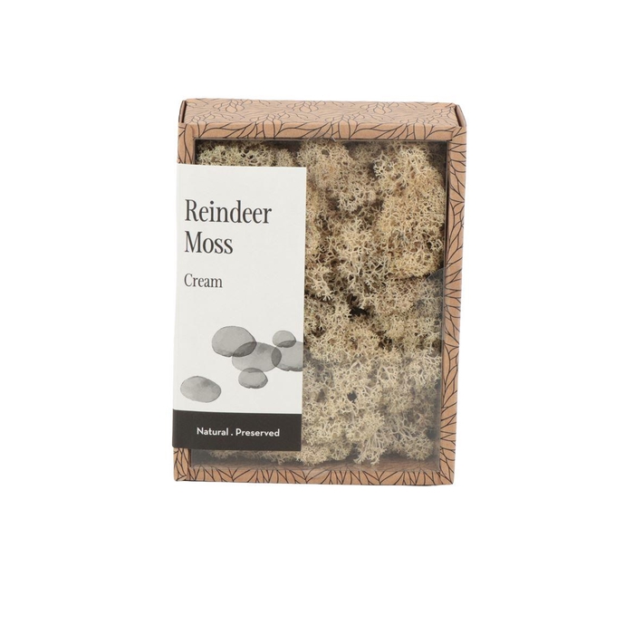 <h4>Ijslandmos (reindeer) Cream - Box S</h4>