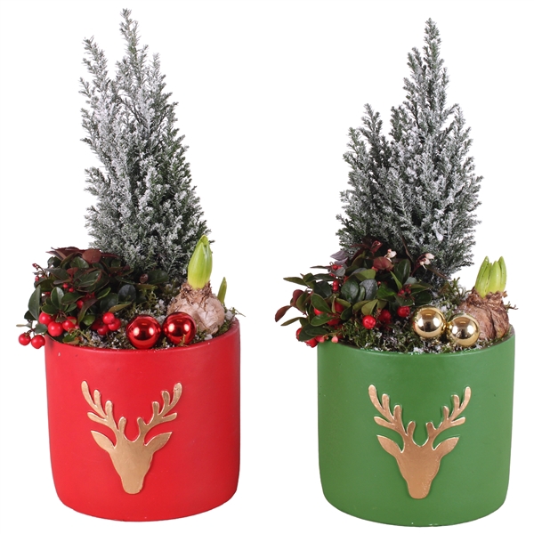 <h4>Christmas Arr.Outdoor Ceramic Pot round reindeer red/gre ø17c3PP</h4>