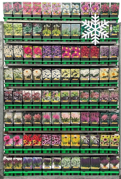 <h4>Vaste planten mixkar</h4>