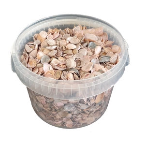 Shells north sea 3 ltr Frosted Pink