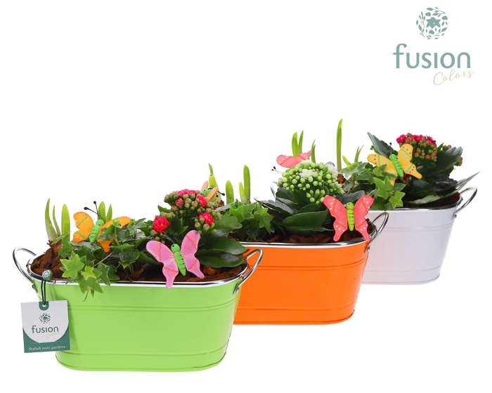 <h4>Zink schaal voorjaar div.kleuren met arrangement</h4>