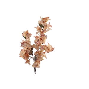 Bougainvillea Spray Pink Light