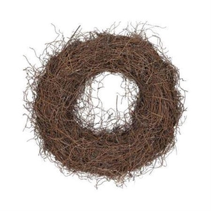 Wr Fern Root Frosted White 38cm