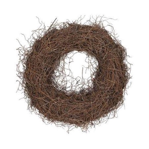 Wr Fern Root Frosted White 38cm