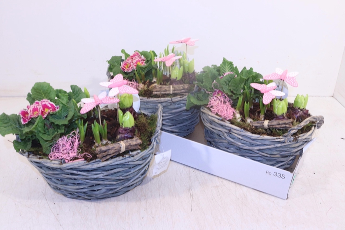 <h4>ARR TUINPLANTEN</h4>