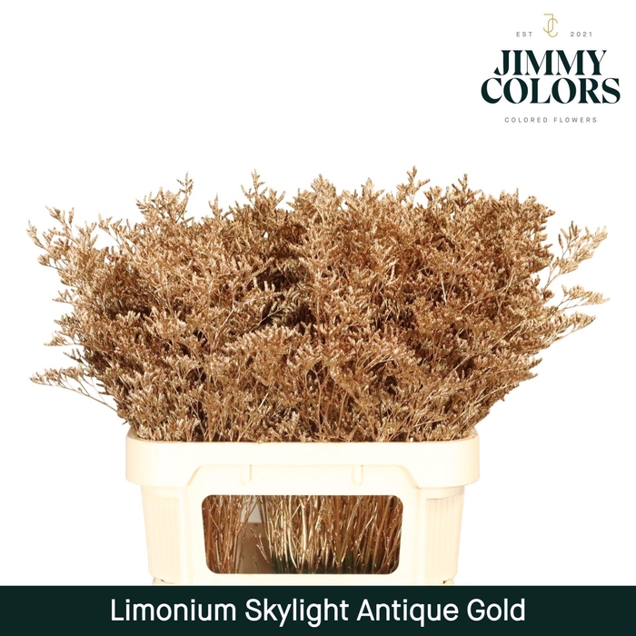 <h4>Limonium Skylight L80 Mtlc. Antique gold</h4>