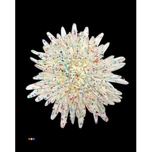 Chr G Ana White Candy