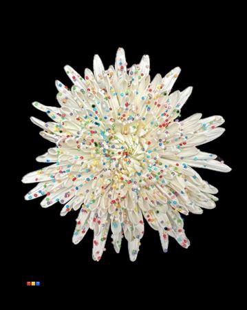 <h4>Chr G Ana White Candy</h4>