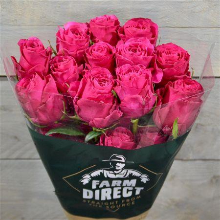 <h4>R Gr Full Monty</h4>