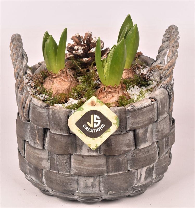 <h4>Hout gevlochten ww 19cm</h4>