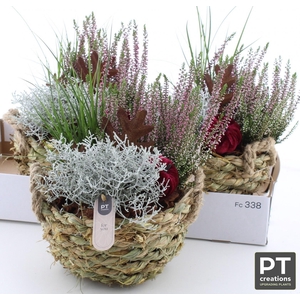 ARR TUINPLANTEN