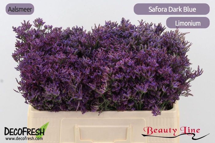 <h4>Lim Saf Dark Blue</h4>