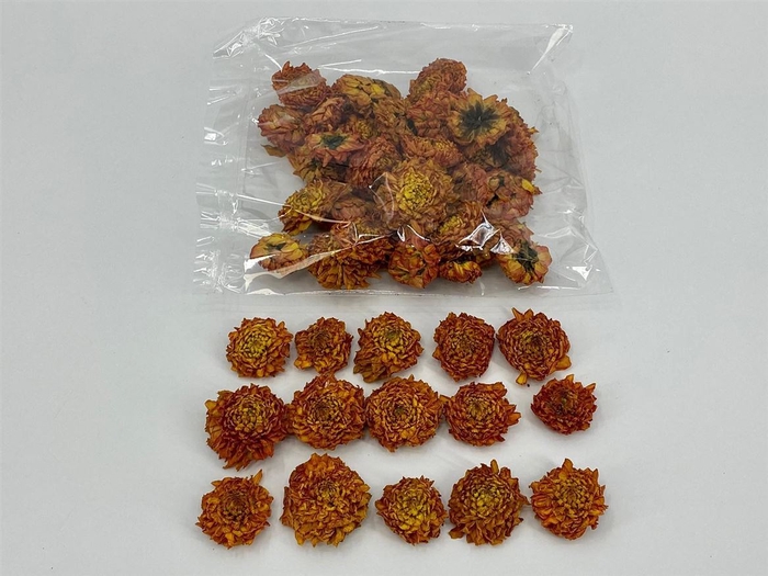 Dried Dahlia Heads Orange Bag (50-60 Heads