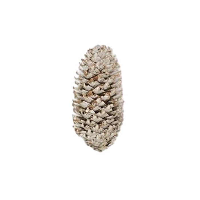 <h4>Pinecone Spruce 5kg</h4>