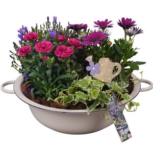 PTPP6855 Arrangement Patio in metalen schaal