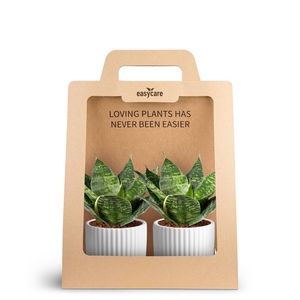 2-Pack Nordic White, Hahnii