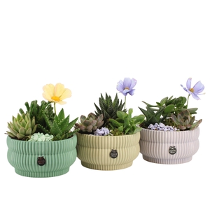 11573: Consideration arrangement