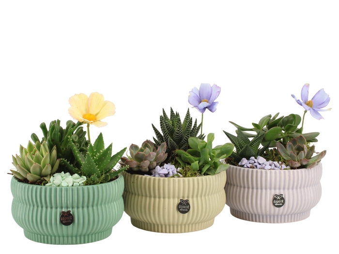 <h4>11573: Consideration arrangement</h4>