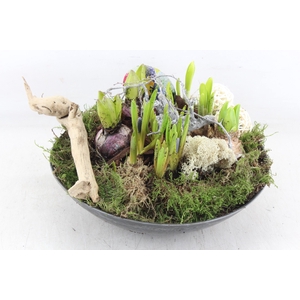 arr4 Bollenmix VL - Kunstst. rond 338/2