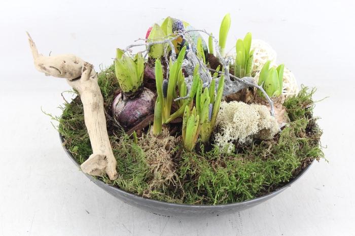 <h4>arr4 Bollenmix VL - Kunstst. rond 338/2</h4>