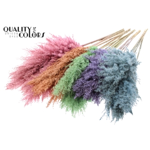 Pampas Grass 100cm 5st/bunch Mixed Colours Frosted