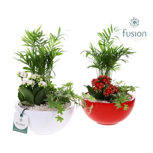 Schaal keramiek Moon Medium wit en rood met arrangement